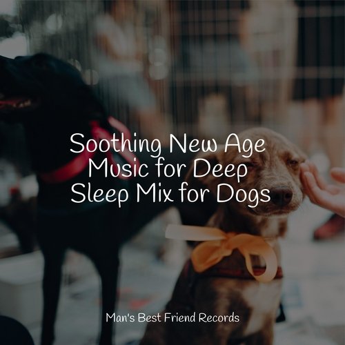 Soothing New Age Music for Deep Sleep Mix for Dogs