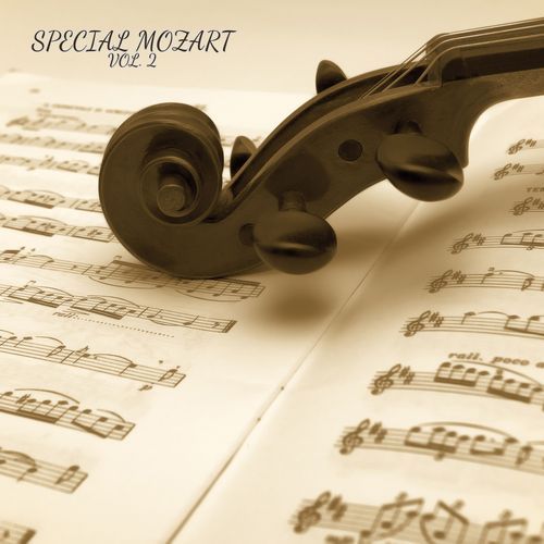 Special Mozart, Vol. 2 (Live)