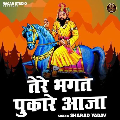 Tere Bhagat Pukare Aaja