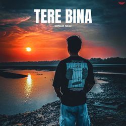 Tere Bina