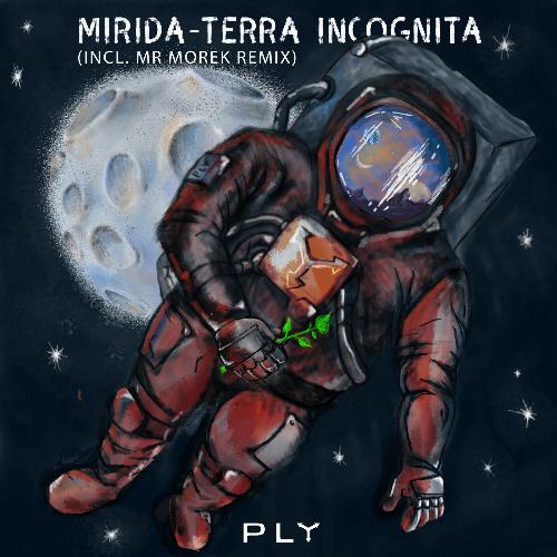 Terra Incognita (Mr Morek Remix) cover art