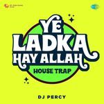 Ye Ladka Hay Allah House Trap artwork