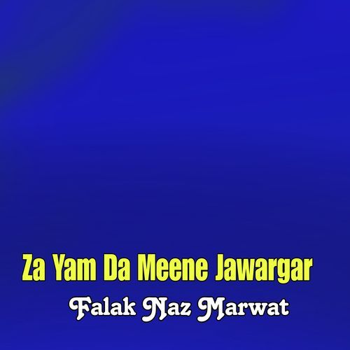 Za Yam Da Meene Jawargar