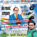 happy birthday aaya mere bhimrav ka