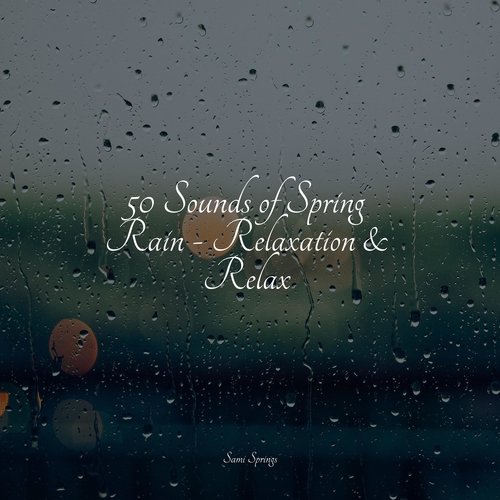 50 Sounds of Spring Rain - Relaxation &amp; Relax_poster_image