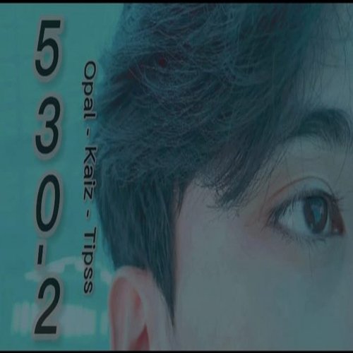 530 - 2 (feat. Kaiz, Tipss)_poster_image