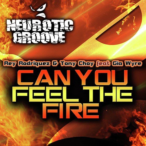 Can You Feel the Fire_poster_image