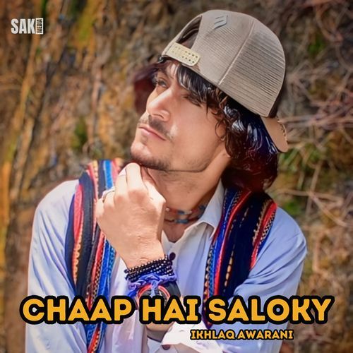 Chaap Hai Saloky