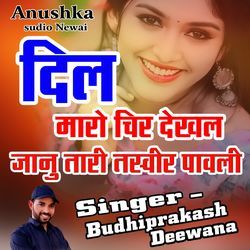 Dil Maro Chir Dekal Jaau Tari Tasvir Pavli