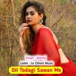 Dil Todagi Sawan Me (Original)