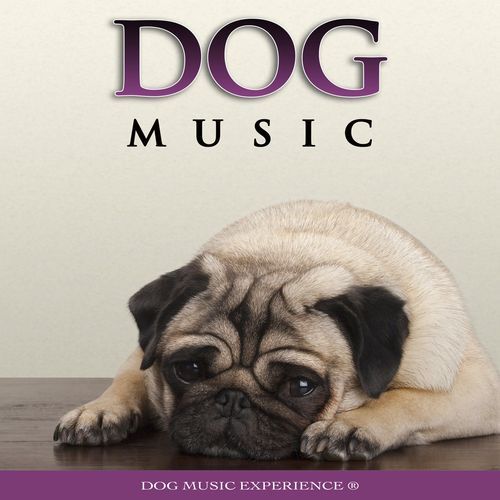 Dog Music: Soothing Music For Dogs, Relaxation Music, Music For Dogs Ears and Calming Music