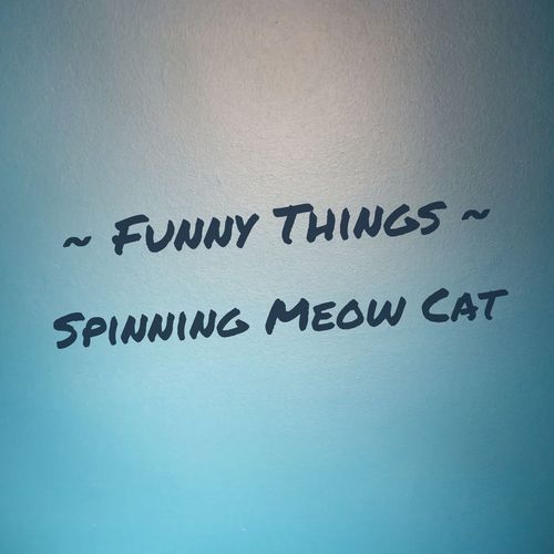 Funny Things, Spinning Meow Cat (Remastered 2024) cover art