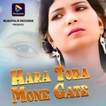 Hara Tora Mone Gate