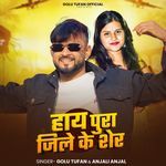 Hayi Pura Jila Ke Sher