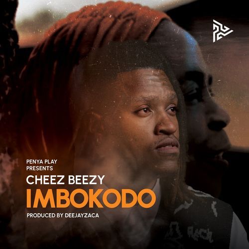 Imbokodo_poster_image