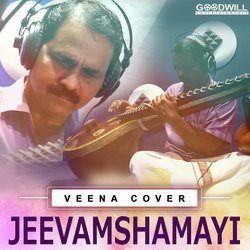 Jeevamshamayi - Veena Cover-F1ssSzZEGnc