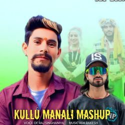 Kullu Manali Mashup