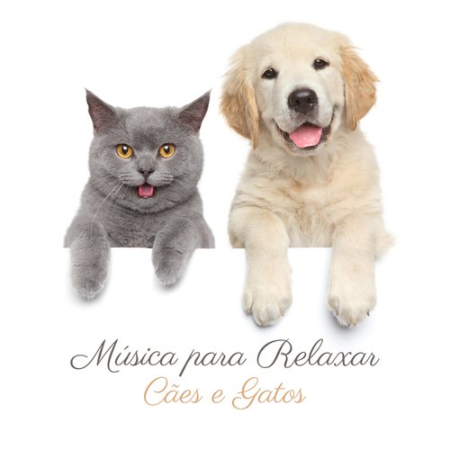 Música para Animais Estressados cover art