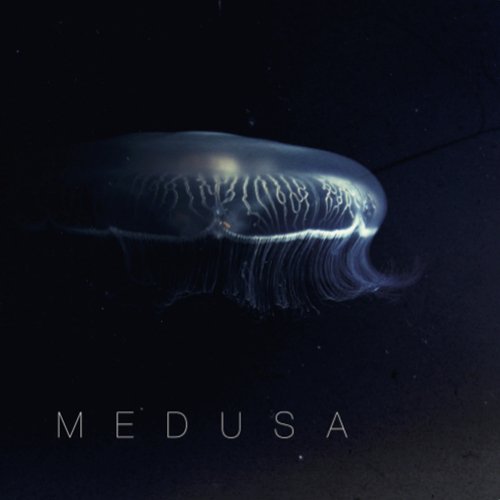 Whiteout cover art