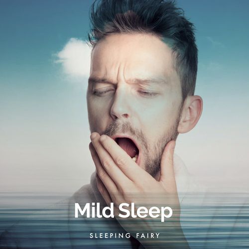 Mild Sleep_poster_image