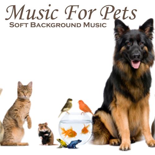 Music for Pets - Soft Background Music - Music for Relaxation Songs,  Download Music for Pets - Soft Background Music - Music for Relaxation  Movie Songs For Free Online at 