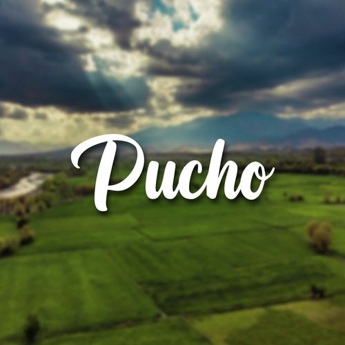 Pucho