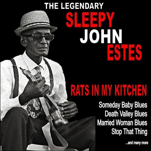 Rats in My Kitchen :The Legendary Sleepy John Estes