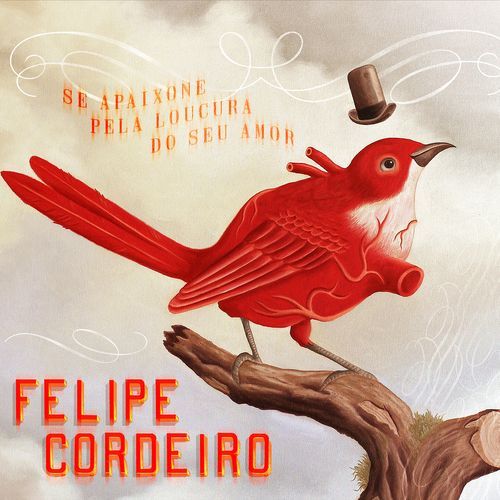 Se Apaixone Pela Loucura do Seu Amor