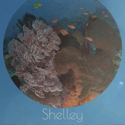 Midday Famed cover art