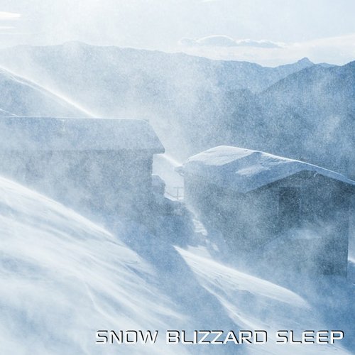 Snow Blizzard Sleep (feat. Discovery Nature Sound, Snow Blizzard Sounds, Arctic Blizzard Sound & Nature Soundscapes)_poster_image