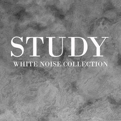 Study White Noise Collection_poster_image