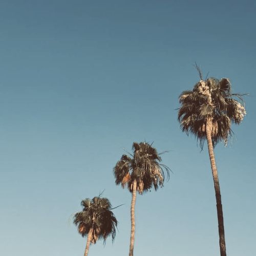 Summer Break