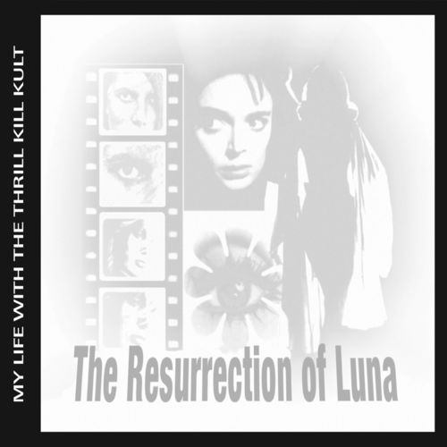 The Resurrection Of Luna_poster_image