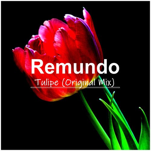 Tulipe (Original Mix) cover art