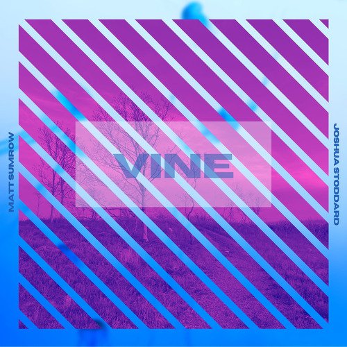 Vine_poster_image