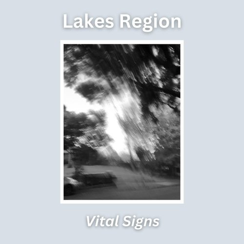 Low Terrain cover art