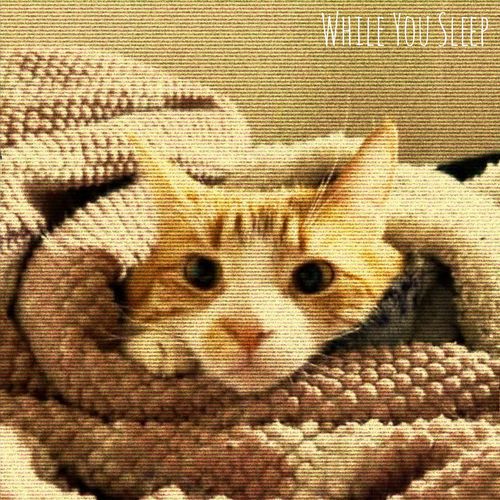 While You Sleep