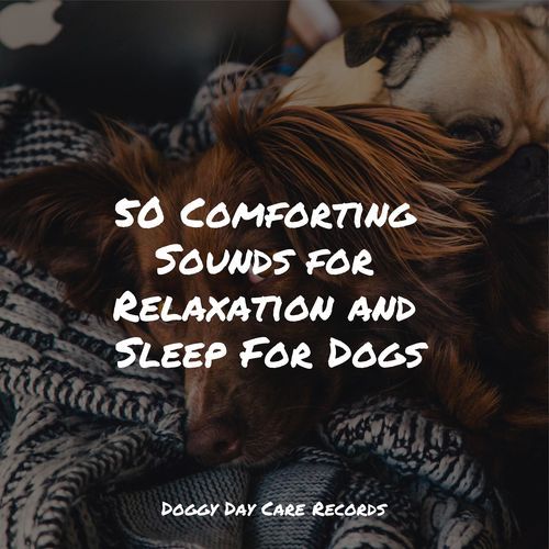 50 Comforting Sounds for Relaxation and Sleep For Dogs_poster_image