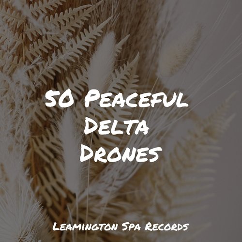 50 Peaceful Delta Drones