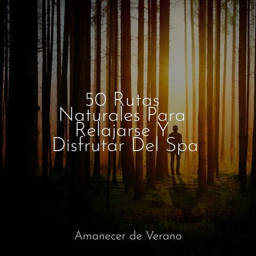Sinfonía de Sueño Susurrante cover art