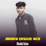 Amar Meghla Rat