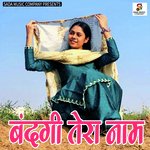 Bandagi Tera Naam