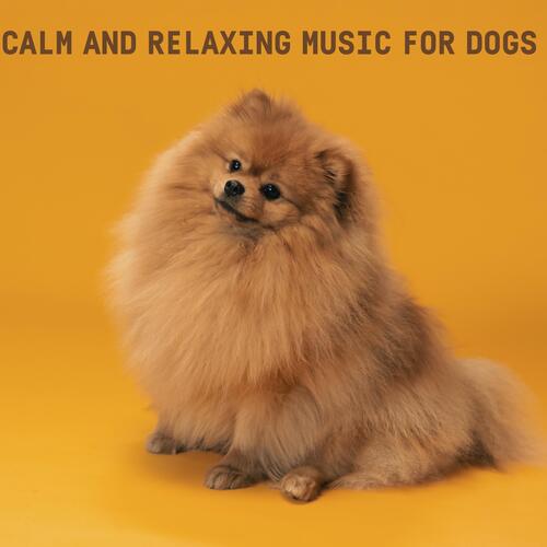 Love for My Dog cover art