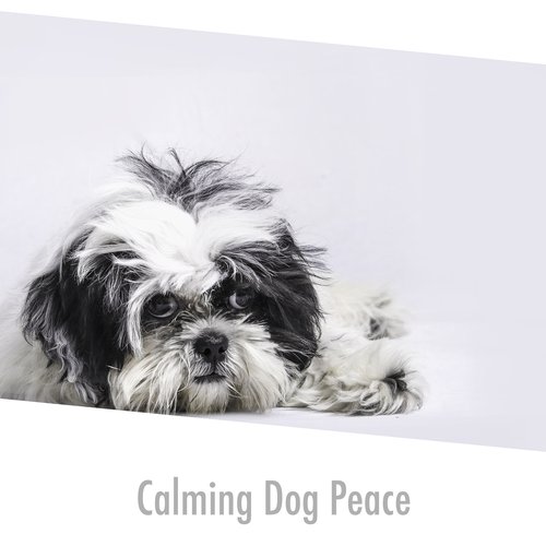 Dog Moments cover art