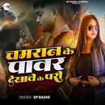 Chamran Ke Power Dekhawe Ke Padi