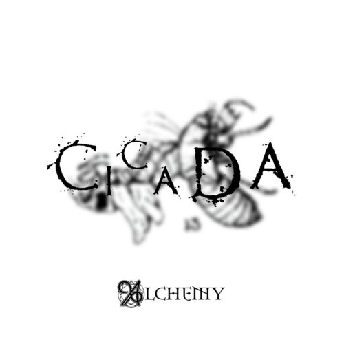 Cicada