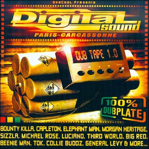 Digital Sound Dub Tape 1.0 (100% Dubplate)