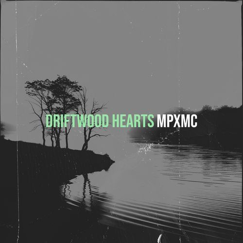 Lantern in the Pines cover art
