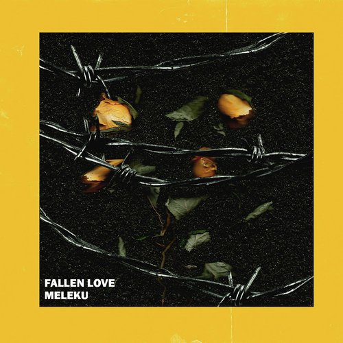 Fallen Love