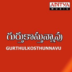 Gurthulkosthunnavu